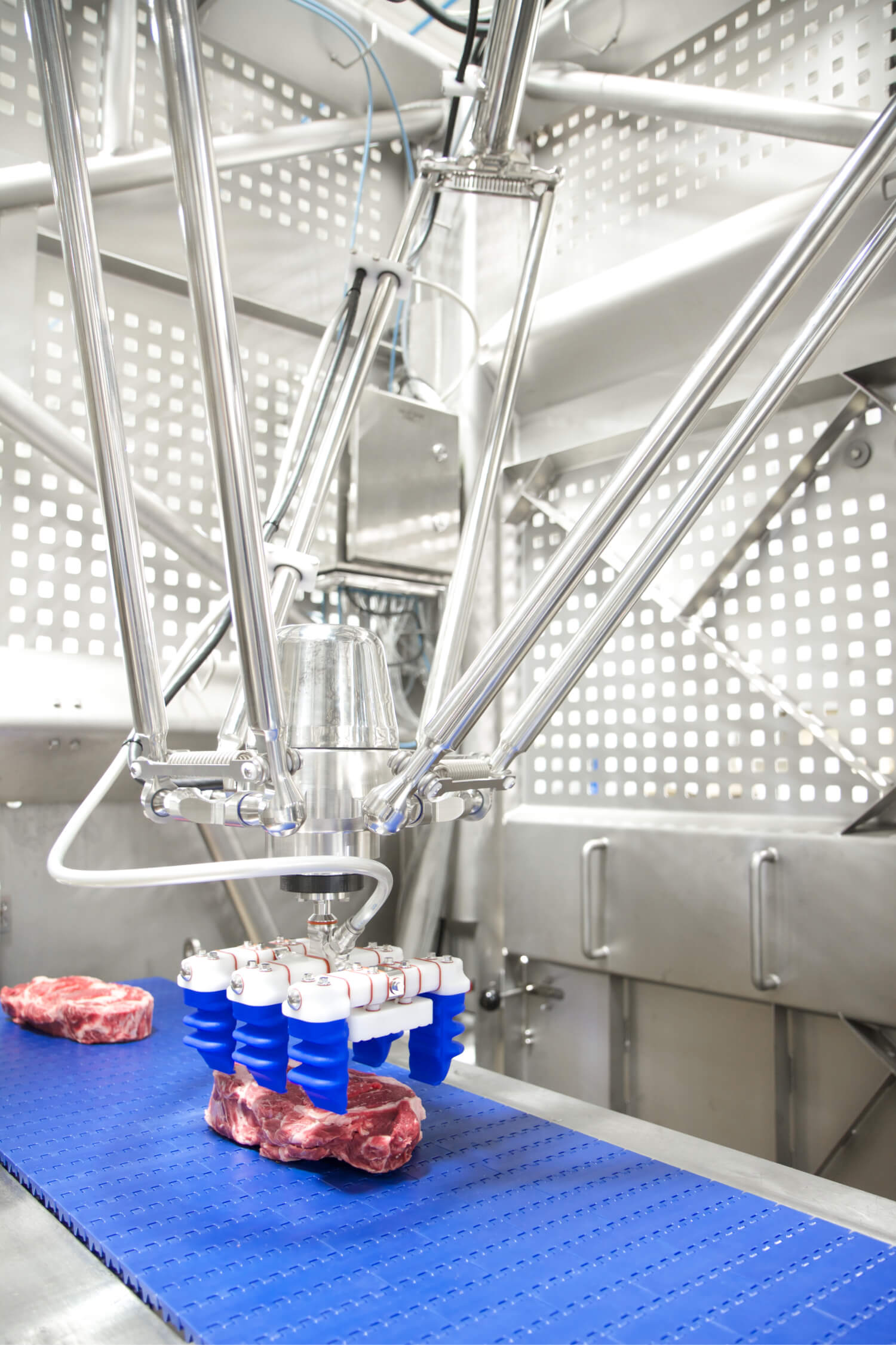 DR-3iB/6 - Meat Packaging